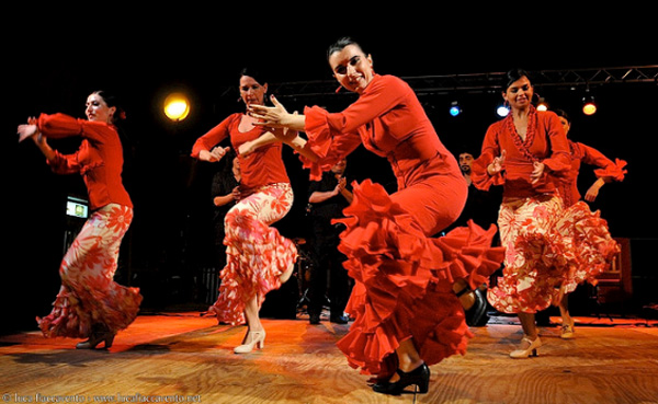 flamenco1
