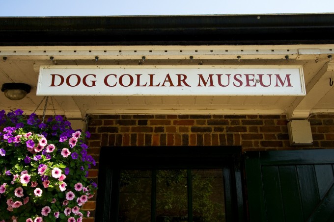 bảo tàng chó Dog Collar Museum