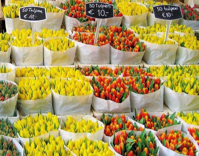 chợ hoa Bloemenmark2