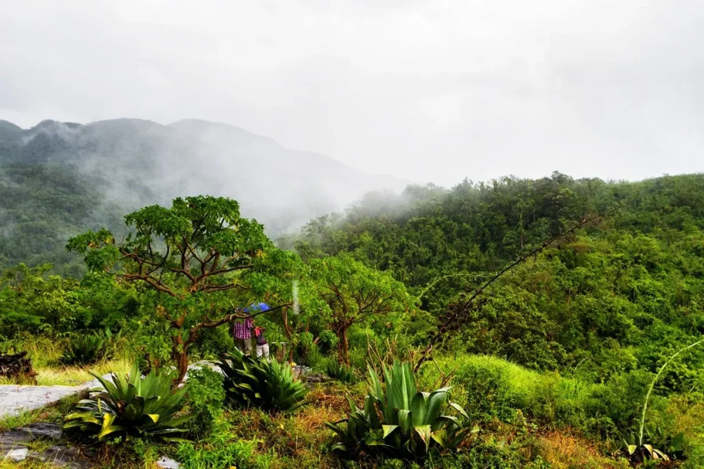 Thung lũng Valle de los Ingenios