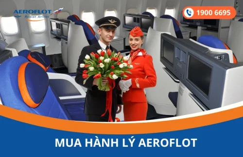 Mua thêm hành lý Aeroflot