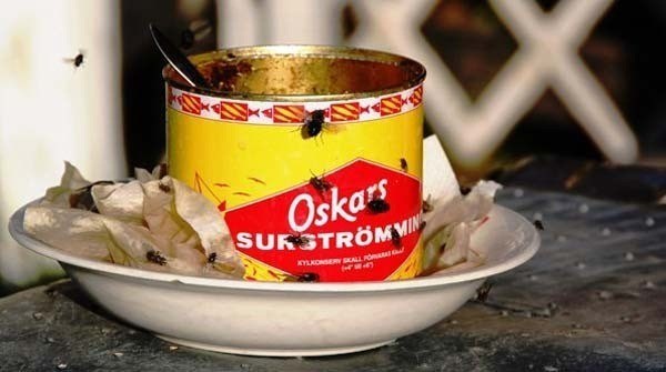 Surströmming bốc mùi
