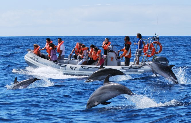 Quần đảo Azores